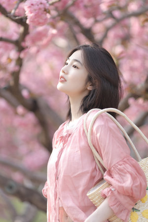 麻花传MV国产剧在线看电视